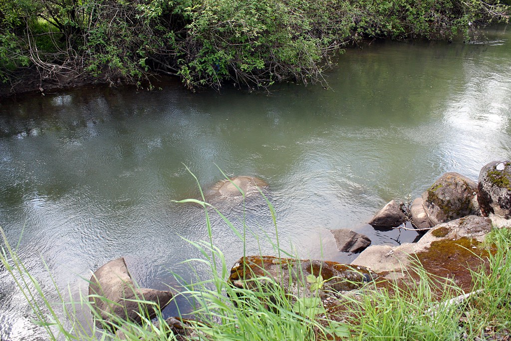 Johnson Creek Park brx0 Flickr