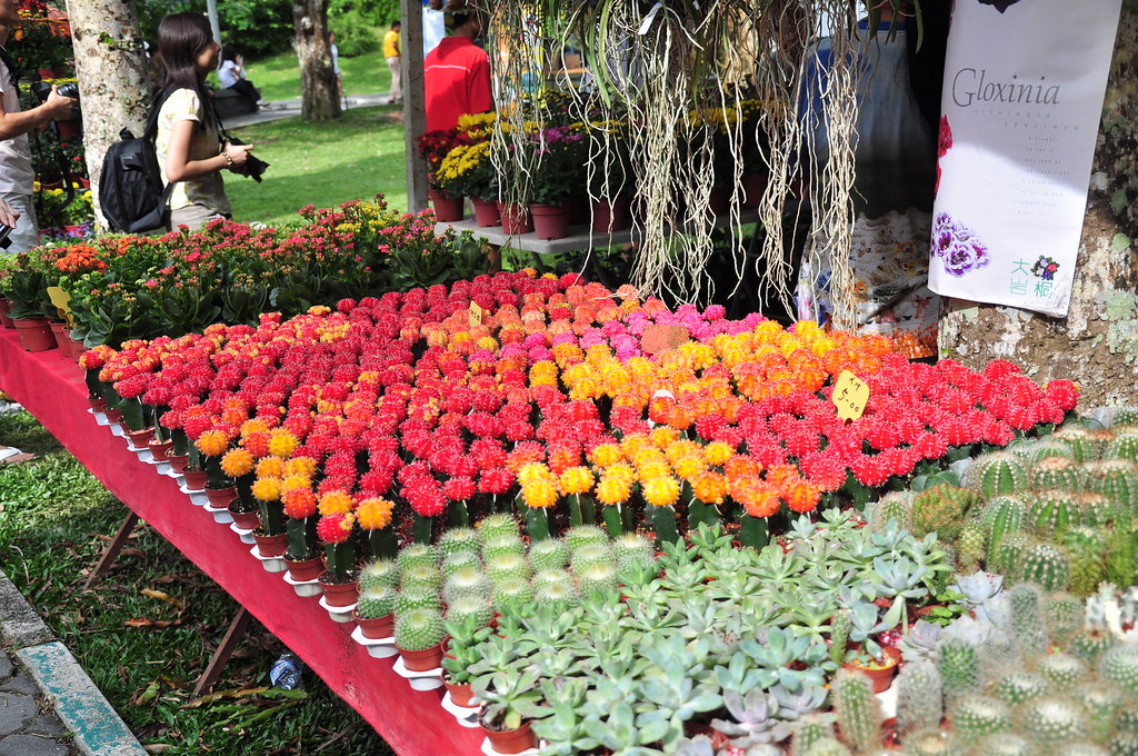 Botanical Garden Flowers for sale Nor Aishah Hussin Flickr