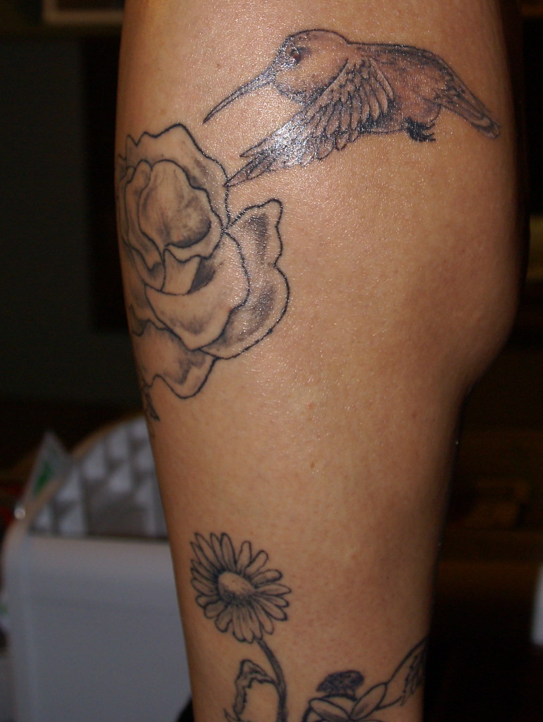 Hummingbird Daisy Ladybug Tattoo | Left Leg Tattoo, Cute Lil… | Flickr 1024_x_771_jpg