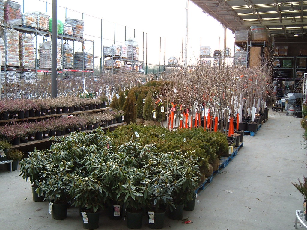 951 Parlin 3/9/06 Home Depot Profiles Flickr