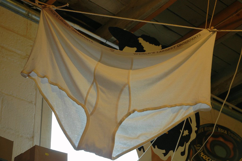 World's Largest Underpants Rick Hebenstreit Flickr