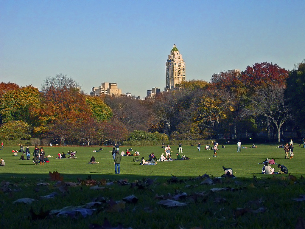 CP_lawn.jpg the great lawn in Central Park David Flickr
