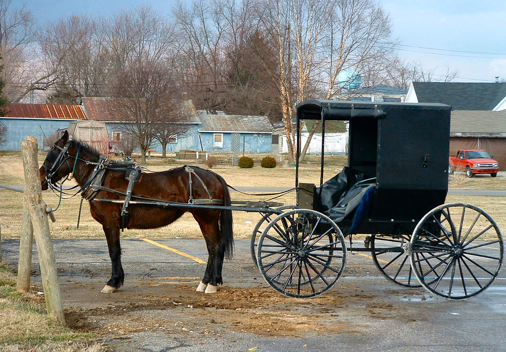 Amish Horse and Buggy These Amish were at the grocery stor… Flickr