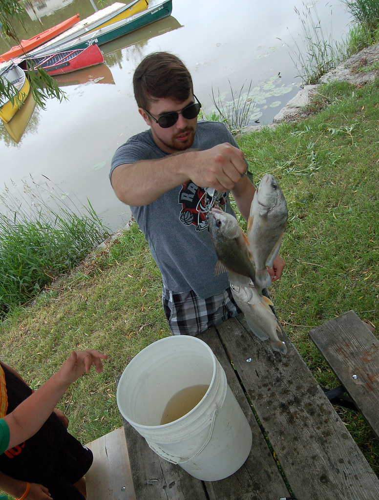 Three fish Grand River Conservation Authority Flickr