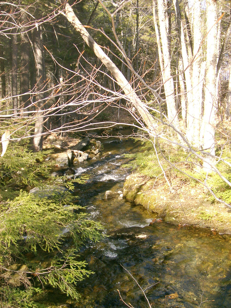 Bottle Brook 42009 Above the falls. Taken in Kingsbury, … Flickr