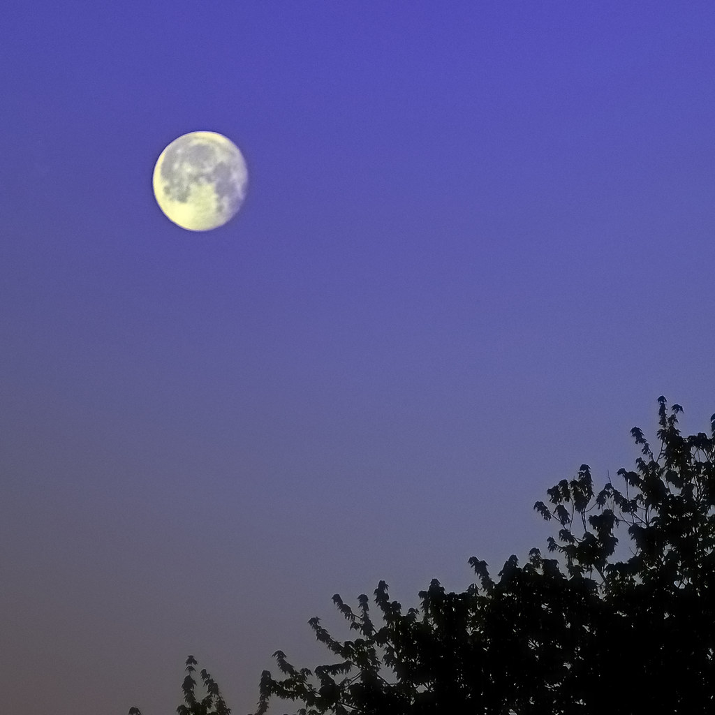 Moonset, Iowa Moonset on an Iowa Morning DSC_5524Moonset You're In