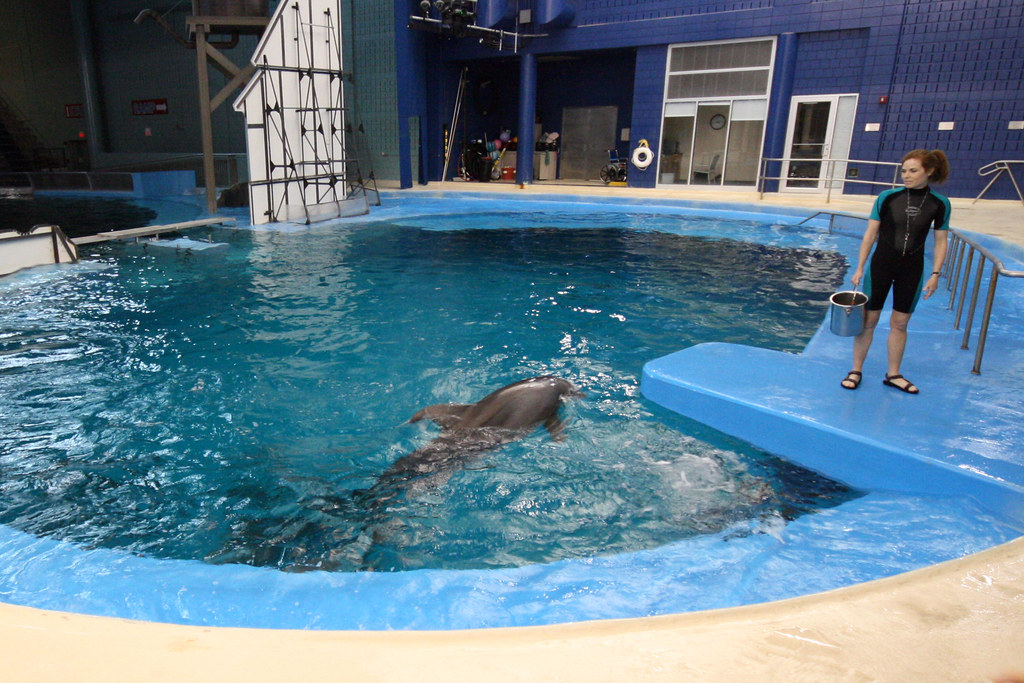 Indianapolis Zoo Aquarium The Indianapolis Zoo’s Marine Ma… Flickr