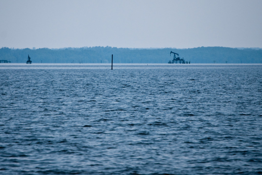 Caddo Lake (Oil City)2202 Michael Welch Flickr