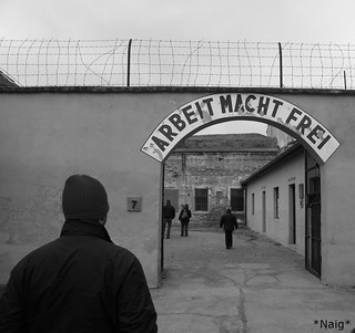 Il Lavoro Rende Liberi. Il Lavoro Rende Liberi? | Nicole | Flickr 301_x_320_jpg