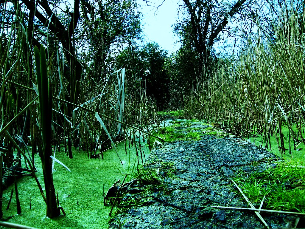 "Wildlife Trusts, Norwood Road. March Camb's UK..03b 523 Flickr