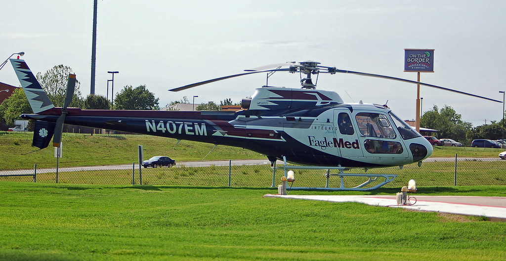 Eagle Med Eagle Med sits and waits for their next flight o… Flickr