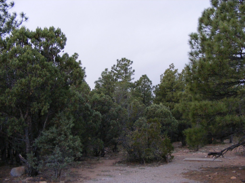 night one/campsite manzano mountain state park Jams Flickr