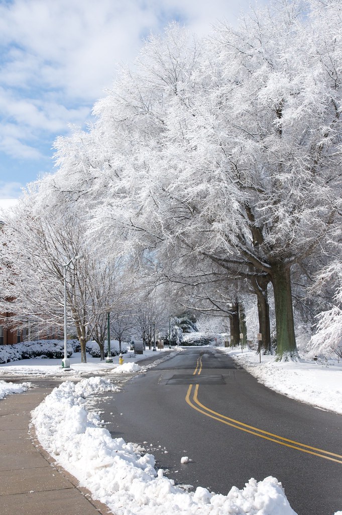 Snow at Wake Forest University March snow in WinstonSalem… Flickr