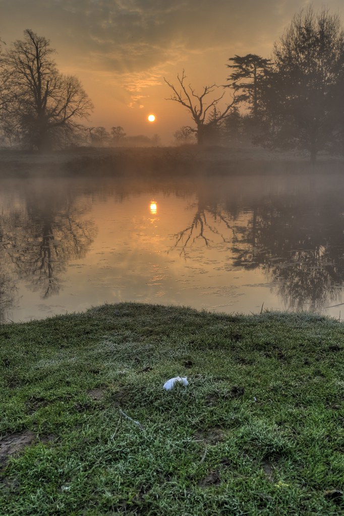 March sunrise. New view since more trees have been cut dow… Flickr