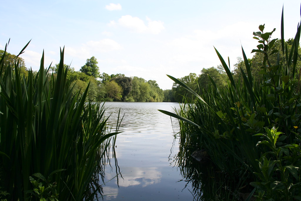 Lake Views One of the Lakes at the University of Reading. Matthew