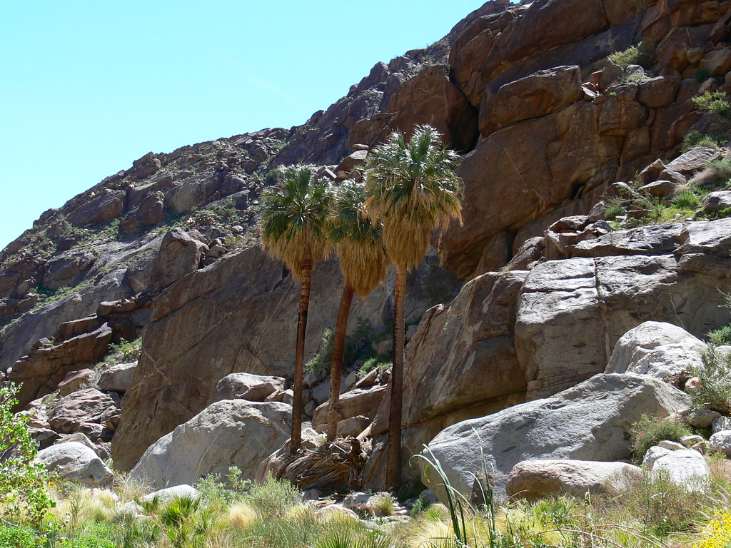 Borrego Palm canyon Anza Borrego State Park, Southern cali… Flickr