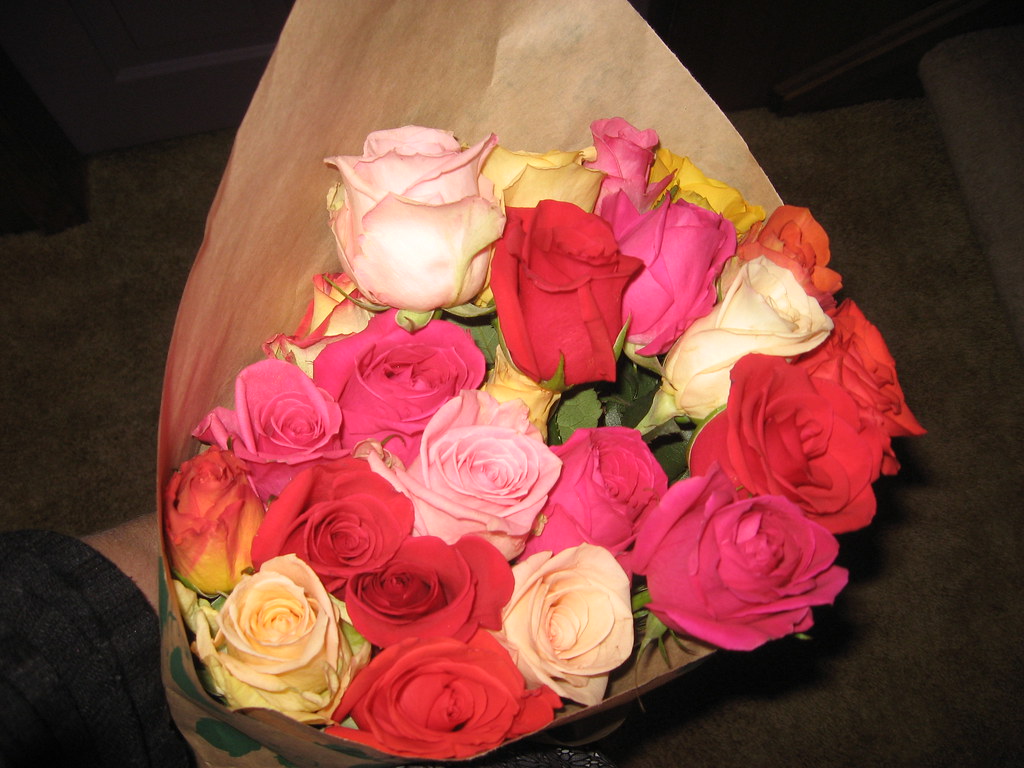 Roses Two dozen roses from my boss on my last day of work.… Flickr