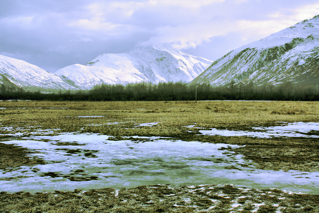 Bells Flats Kodiak AK TRAVIS DEICHL Flickr