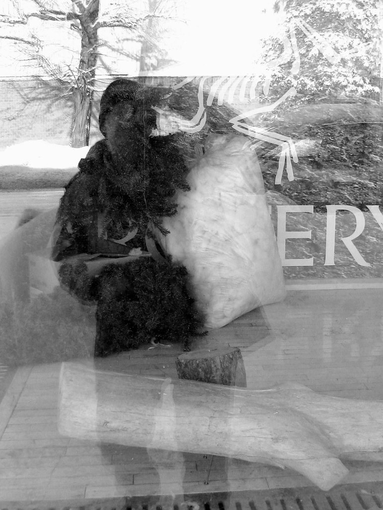 SemiArcimboldean SelfConifery 2 Roland Poland Flickr