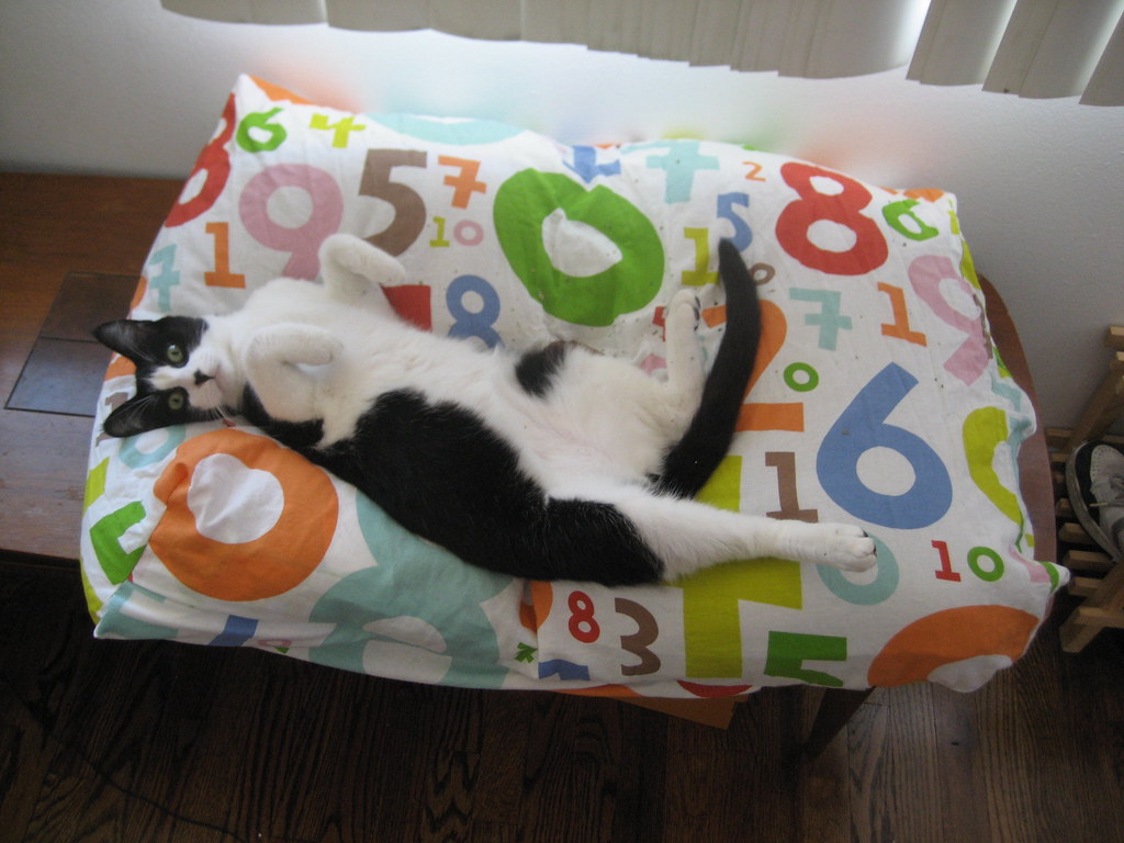 Ikea Numbers Cat Bed a photo on Flickriver