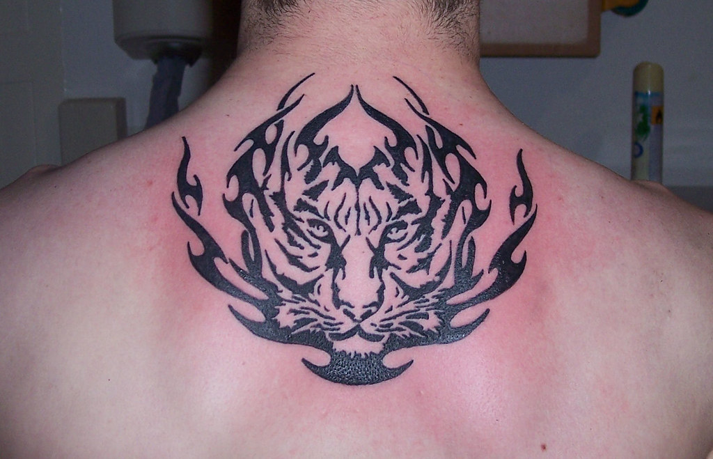 Back Tribal Tattoo | Tribal Take On A Tiger Design. | Classic Ink Tattoo Studio | Flickr 659_x_1024_jpg