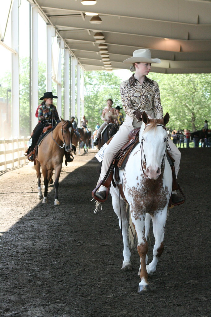 41st Annual All American Youth Horse Show 41st Annual All … Flickr