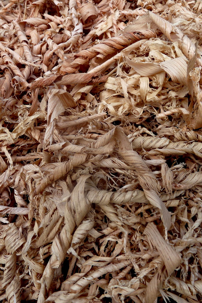 Oak Wood Shavings YES, it is wood shavings! ) Wood is nat… Flickr