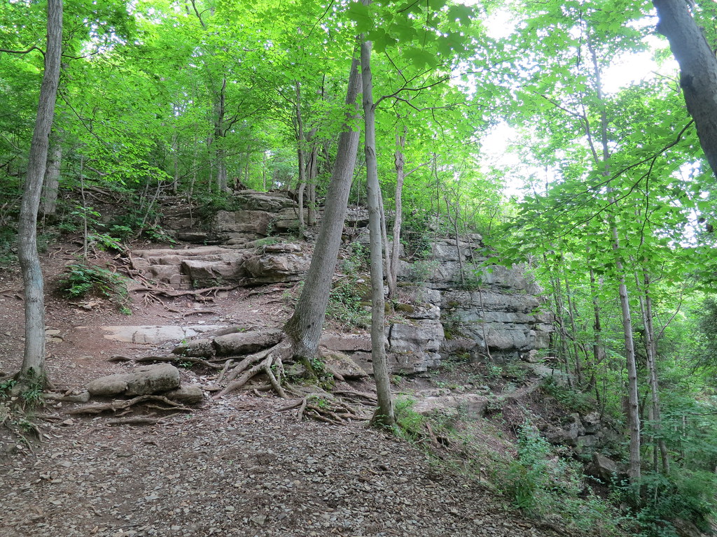 Limestone cliff Clark Reservation State Park, New York Christine