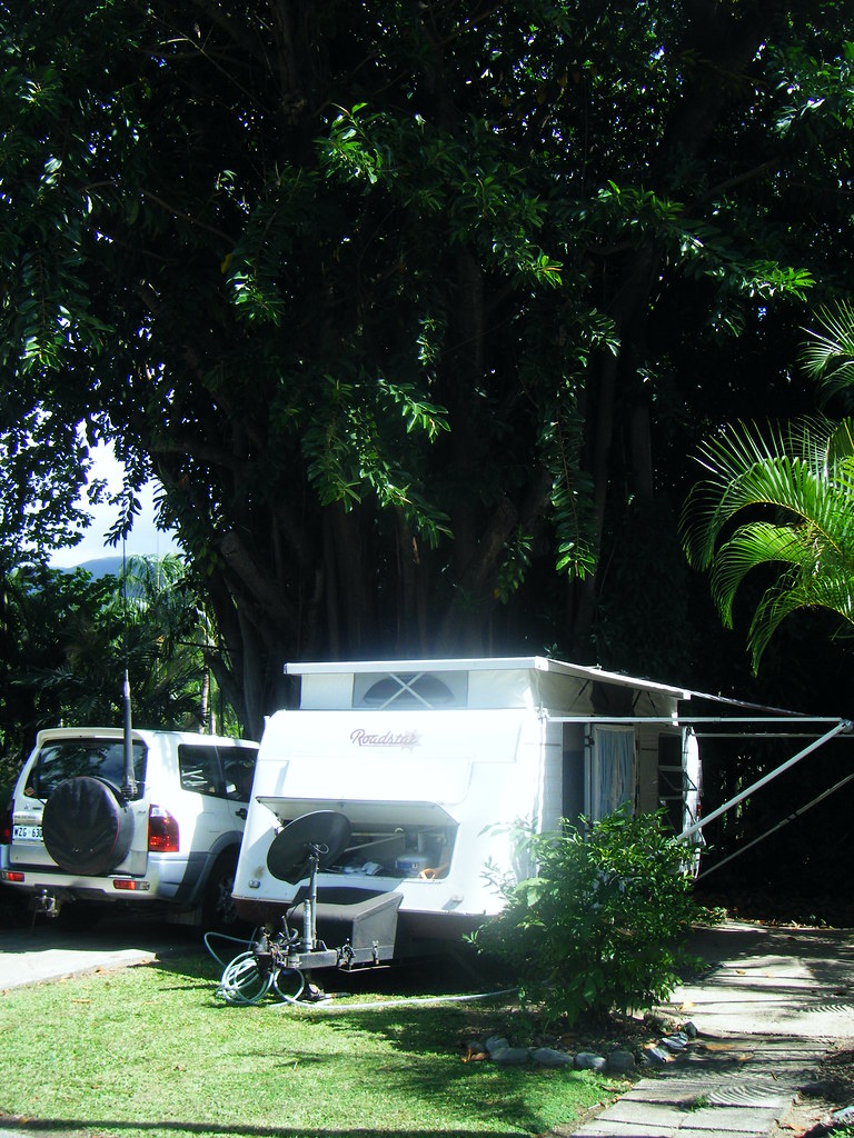 DSCF0340.JPG Cool Waters Caravan Park, Cairns & fish, ee… Flickr