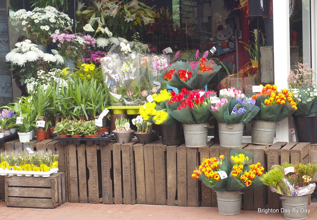 Brighton Flower Shop 14.4.09 spring flowers in Brighton … Hilary