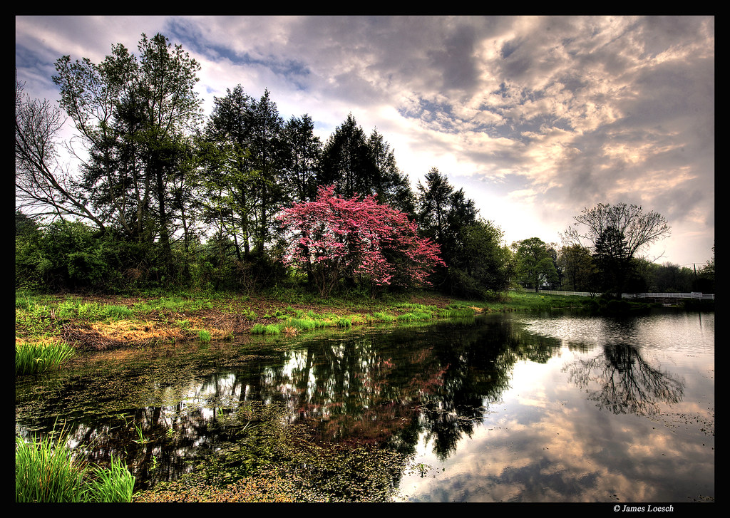 Storm Clearing Hopewell Farm Shot 2 hours ago on the way h… Flickr