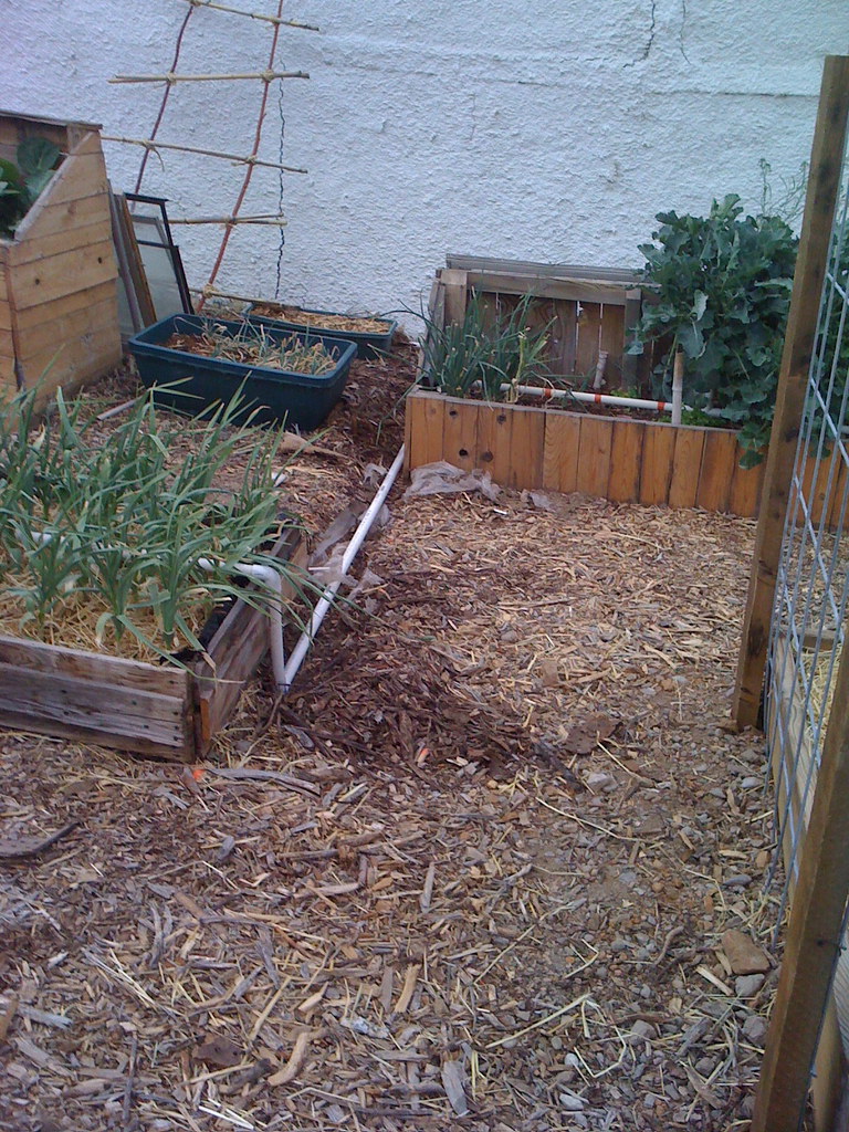 Irrigation Extension 3 Close up of irrigation trench for … Flickr