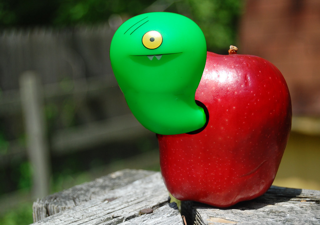 119/36517 rotten to the core Fruit basket upset (7/7) For… Flickr