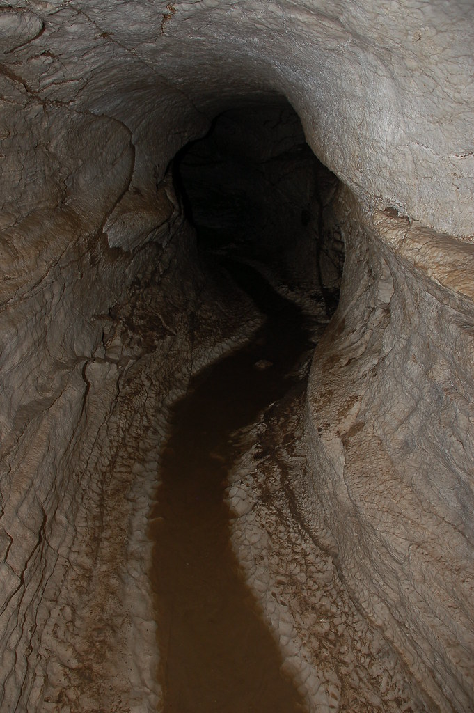 parks ranch cave, eddy county, new mexico grant.harley Flickr