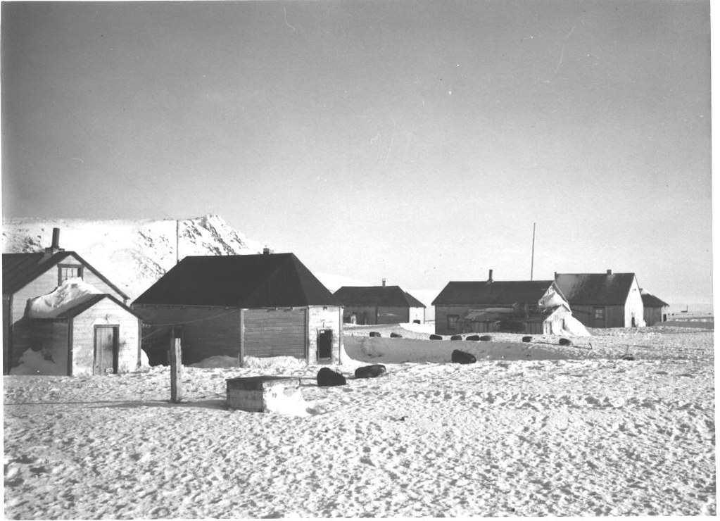 Nome Homes & Dogs MooseNuggette Flickr