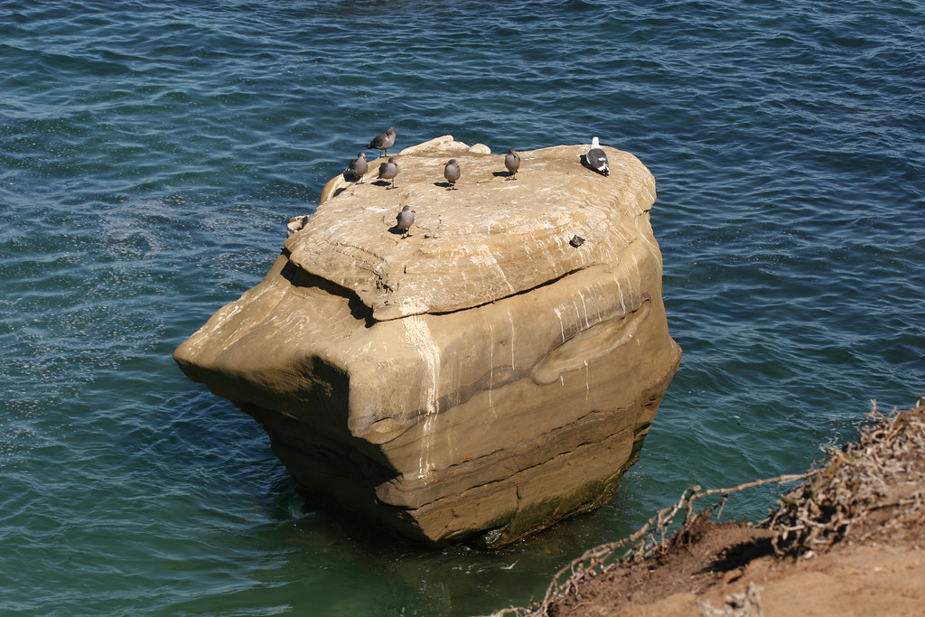 Bird Rock La Jolla bronzesol Flickr
