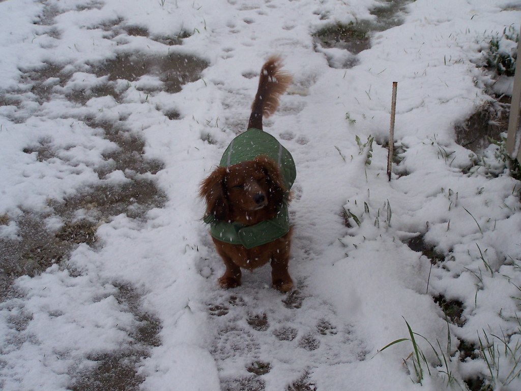 Pics of Vance, AL (Hwy 216 730AM) Marinda Pugh Your Pre… Flickr