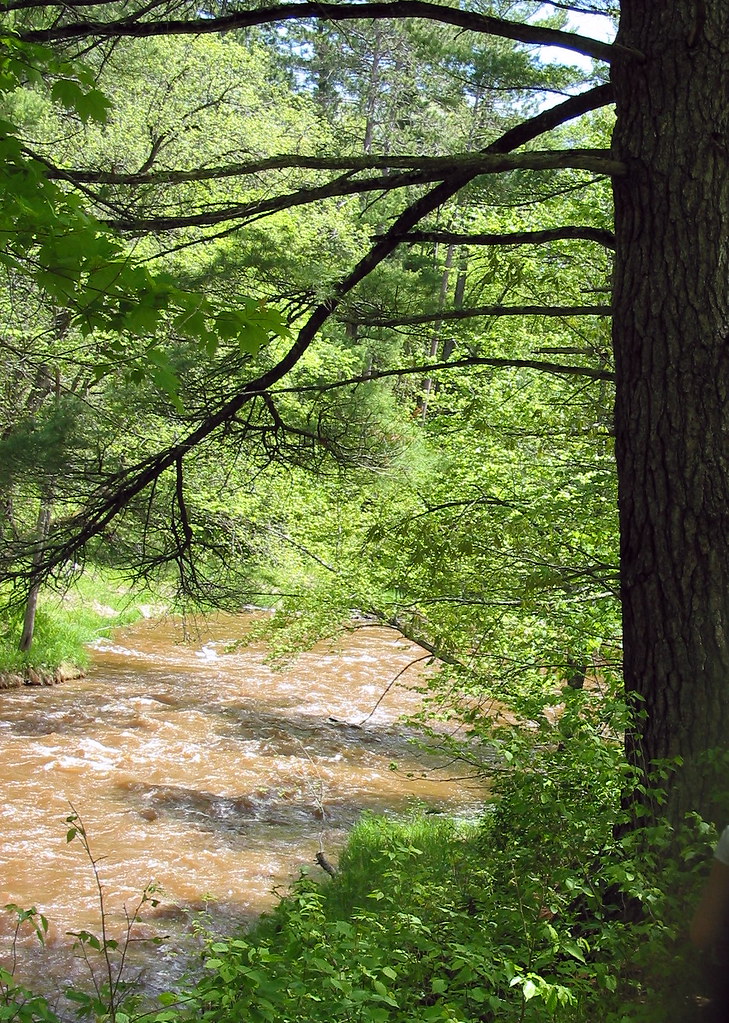 IMG_0741r1 Grantsburg Wisconsin May 2004 Memorial Day Week… Flickr