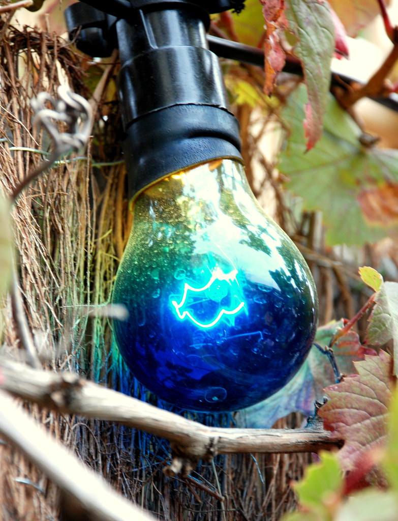 365 Project Day 034 Another light globe Don't Tell Tom … Flickr