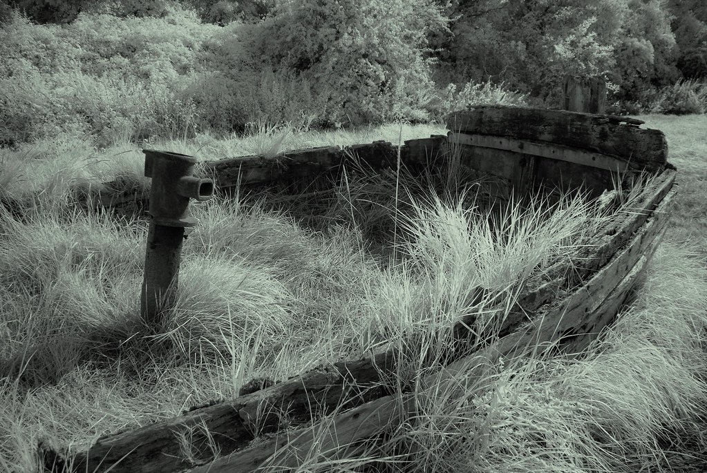 awash Ship's Graveyard, River Severn, Purton, Glos john hodder Flickr