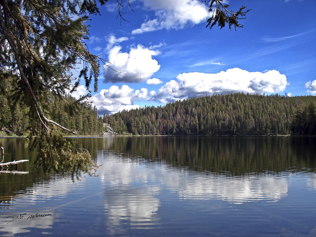 Gillis Lake Sept. 2007. Photo by Gerry Morrison. Available… Flickr