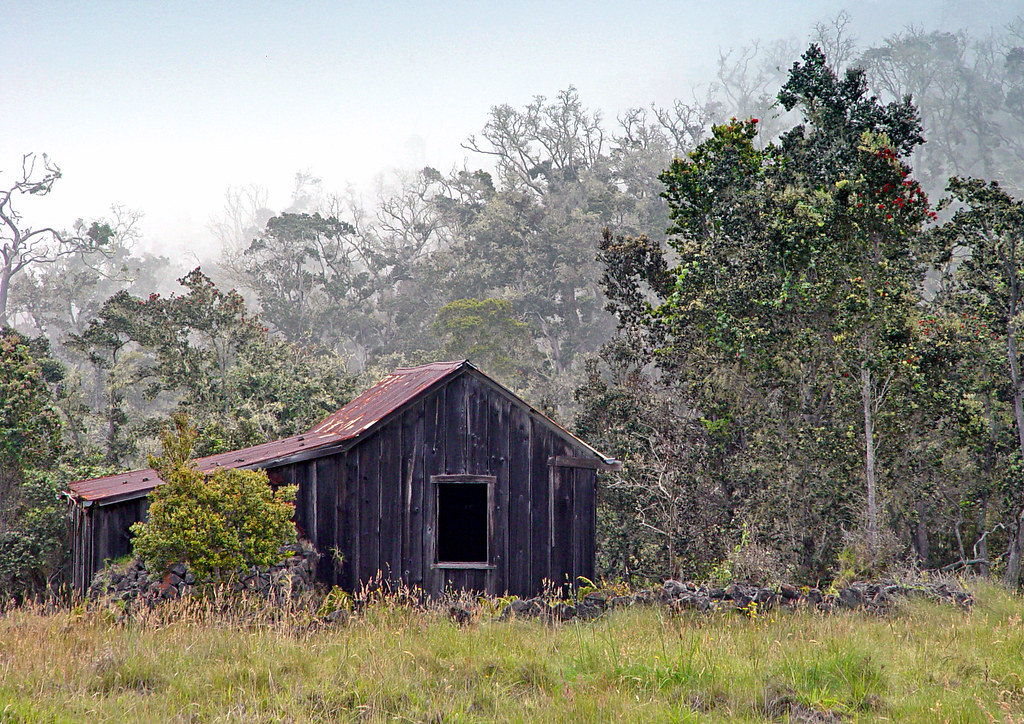 DSC01879ps abandoned cabin, big island Hawaii dennis c Yasuo Flickr