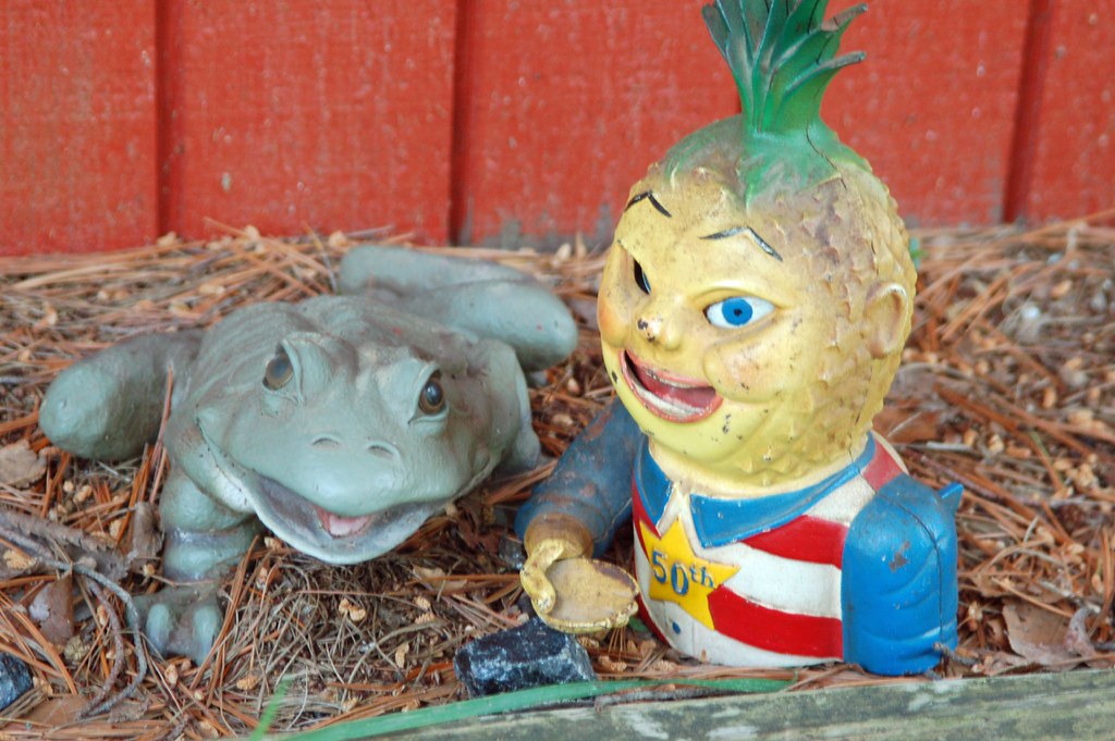 Mr. Pineapple Head with his friend the nonnuclear frog Flickr