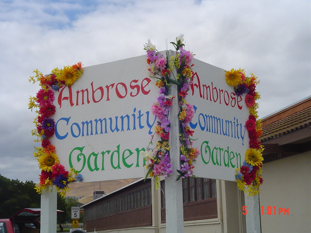 Ambrose Community Garden History Flickr