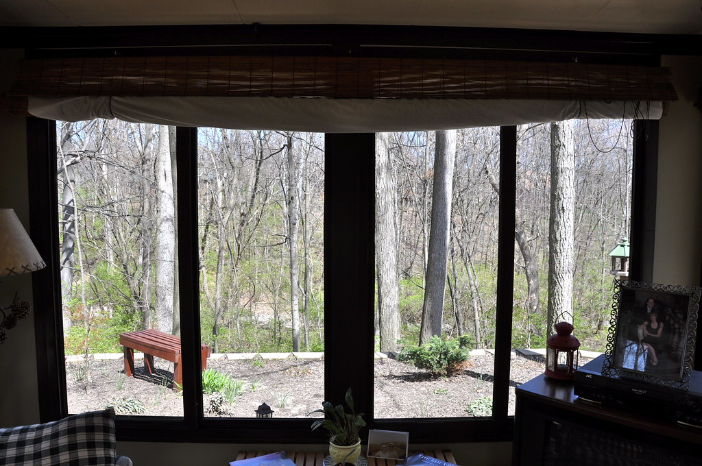 Woods Room View (41209) Brevort Flickr