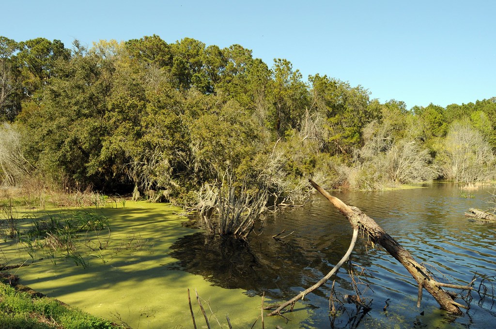 Harris Neck Wildlife Refuge Harris Neck, GA a photo on Flickriver