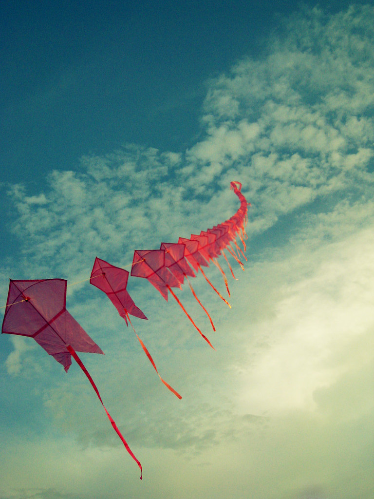 Flying Kites 1 Throw your dreams into space like a kite, … Flickr