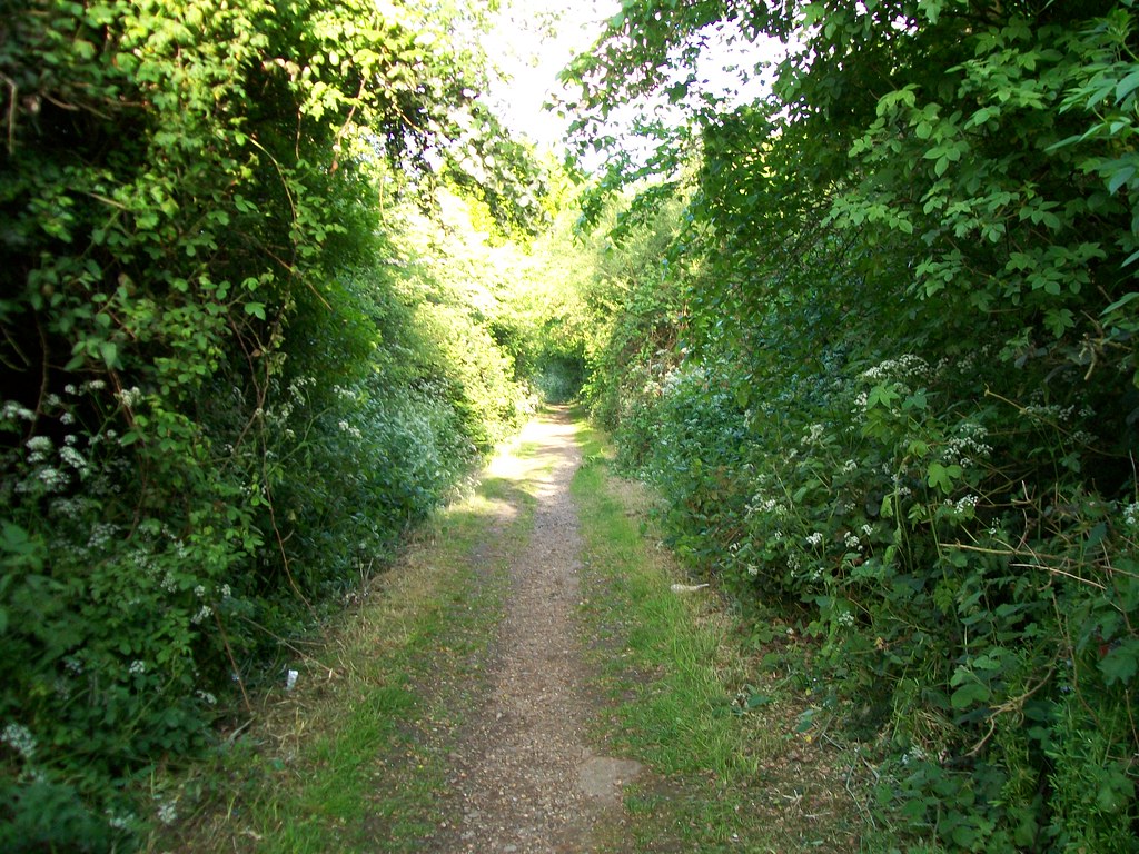 Great Ashby Woodland Walk Great Ashby Woodland Walk Flickr