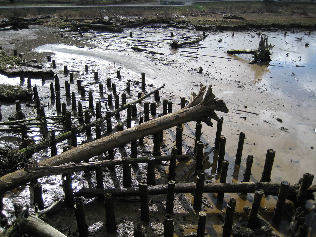 Chehalis River mud and driftwood Low tide in Aberdeen Wash… Flickr