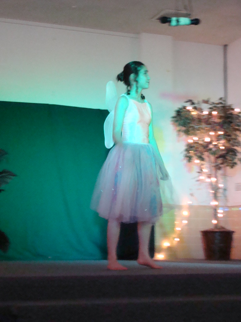 sjs midsummer play 009 Lourdes RubioFitz Flickr